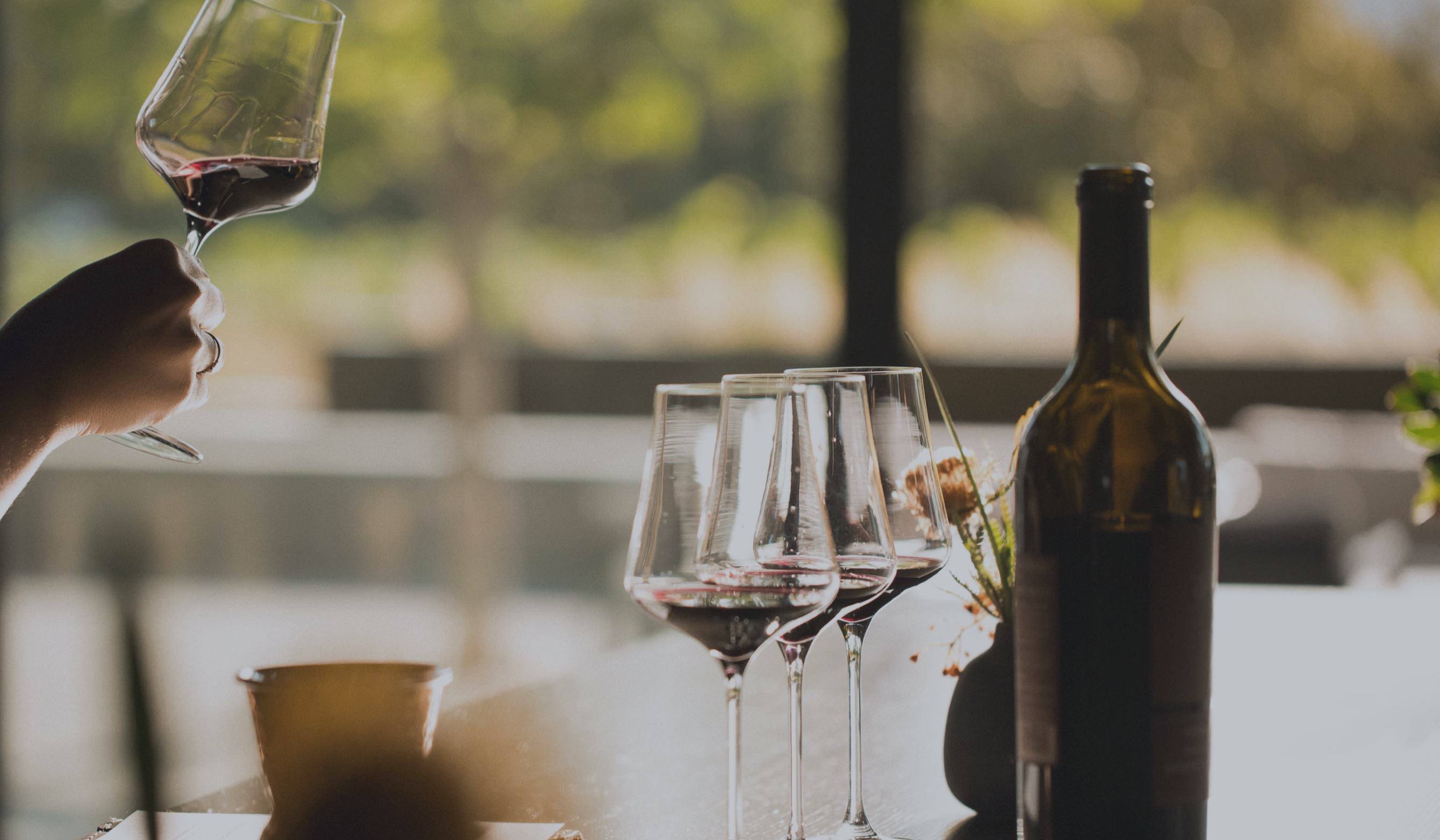 napa wine tours and tastings