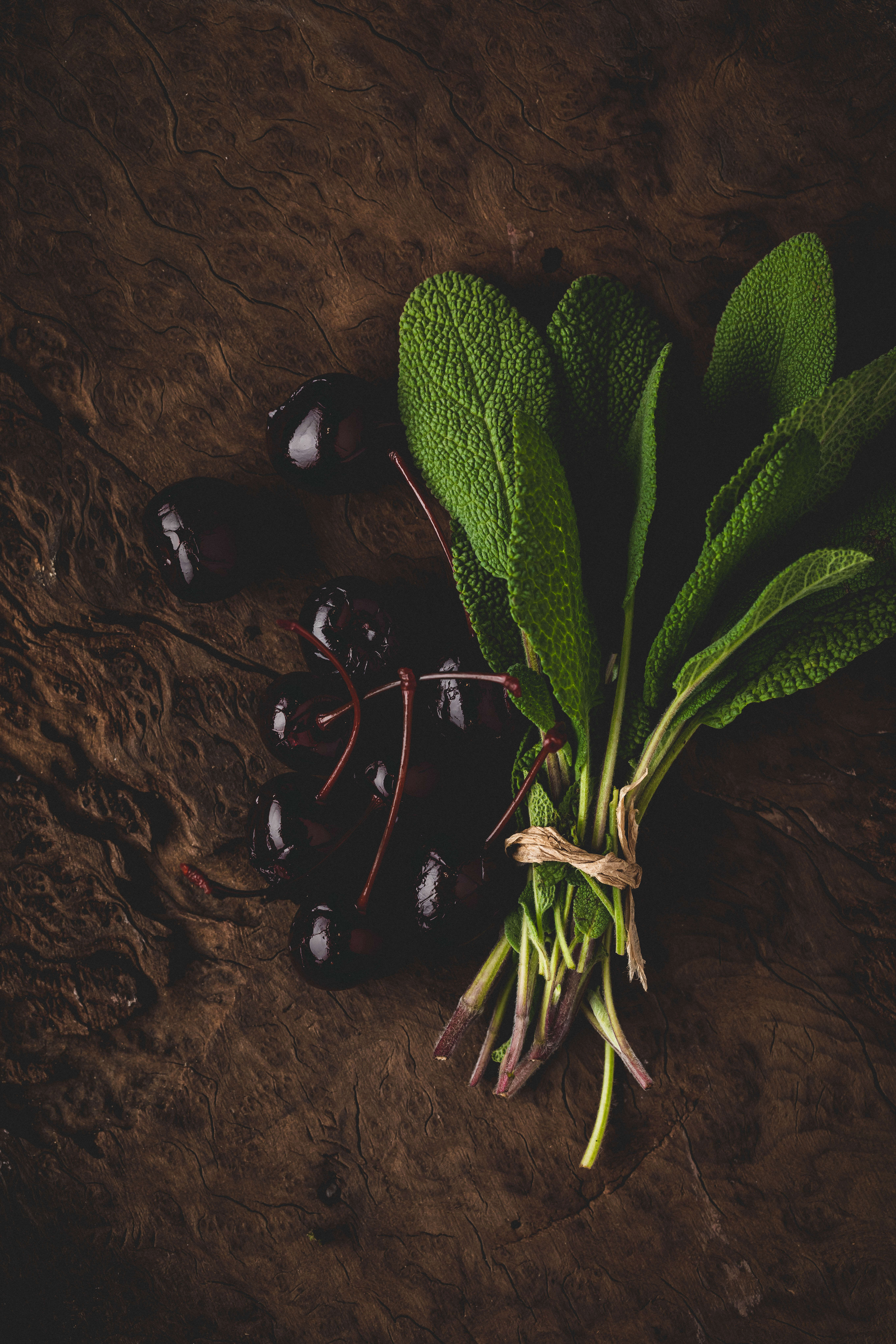 Wine tasting notes of Napa Valley Petit Verdot