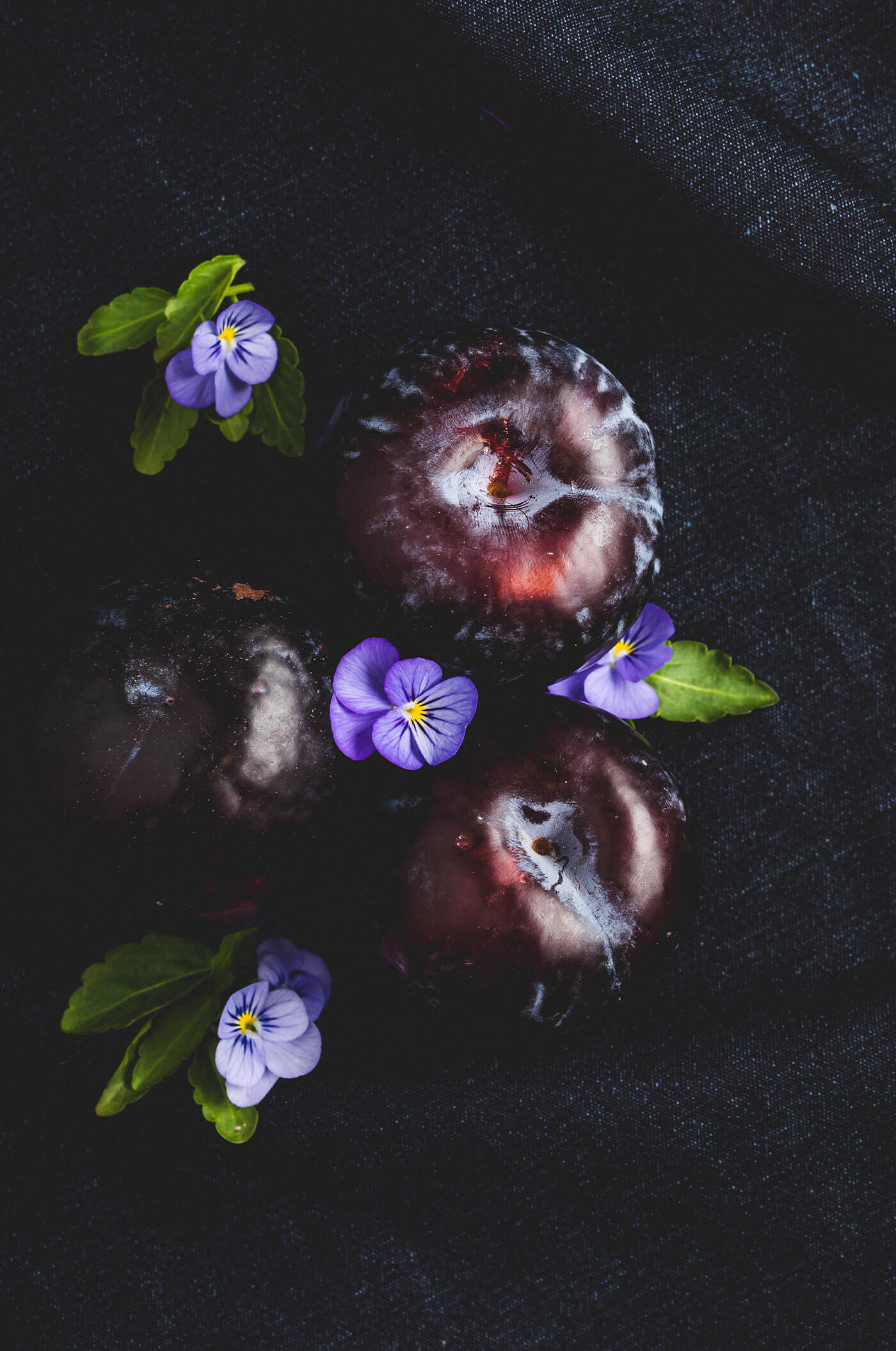 Wine tasting notes of Napa Valley Petit Verdot